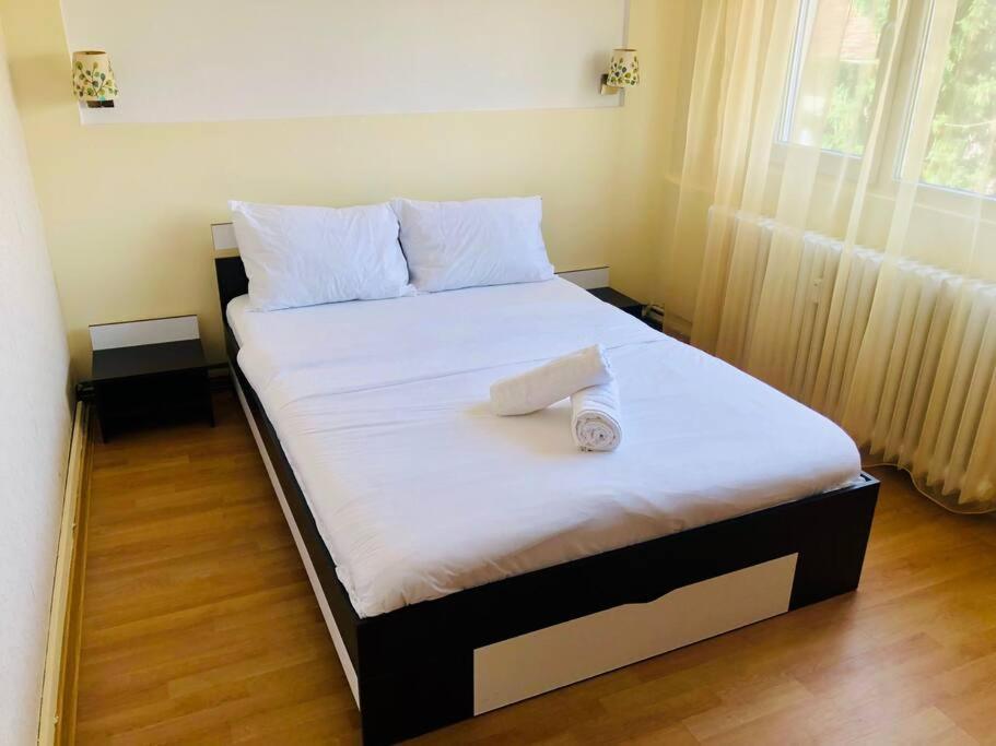 Joy City Stay Lucaciu 16 Timişoara Extérieur photo