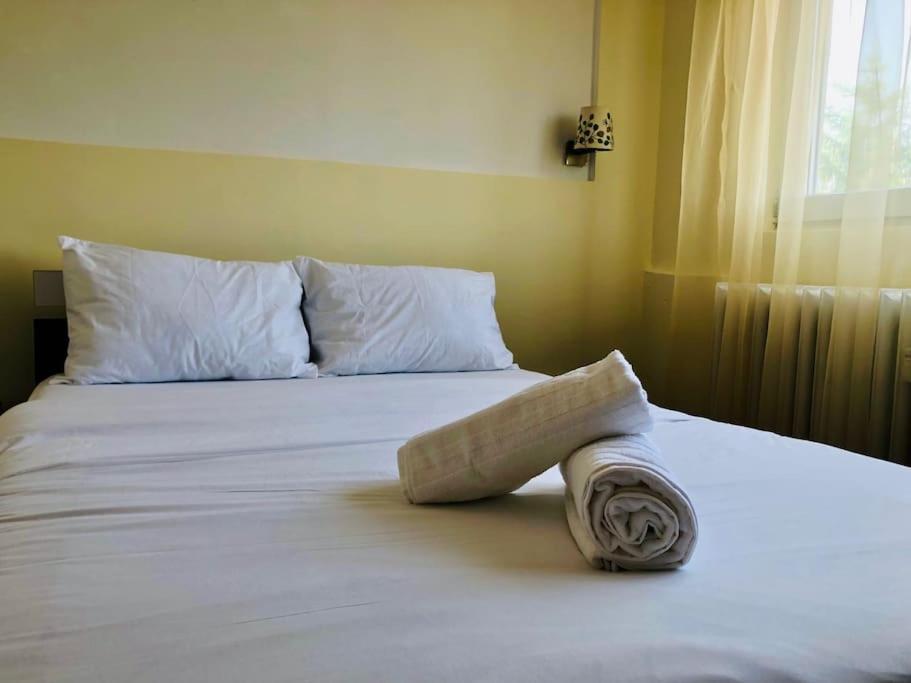 Joy City Stay Lucaciu 16 Timişoara Extérieur photo
