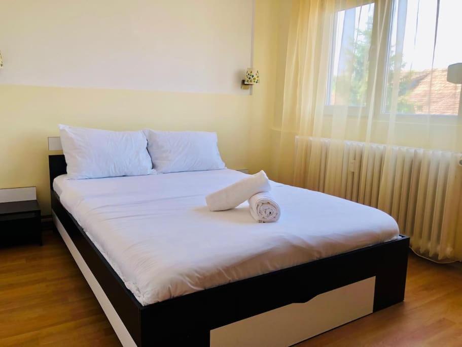 Joy City Stay Lucaciu 16 Timişoara Extérieur photo